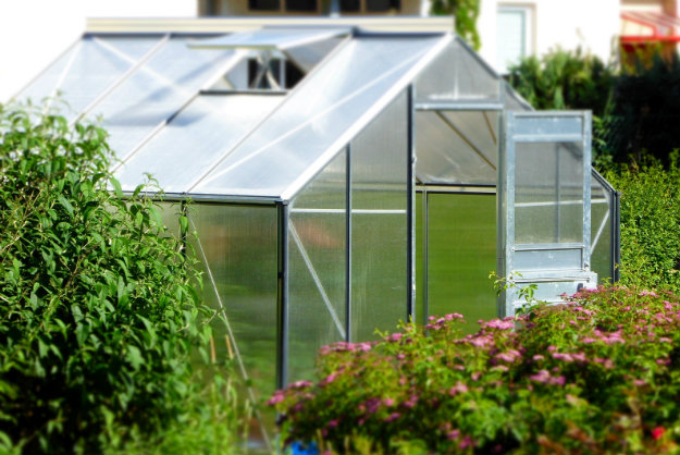 Common garden greenhouse